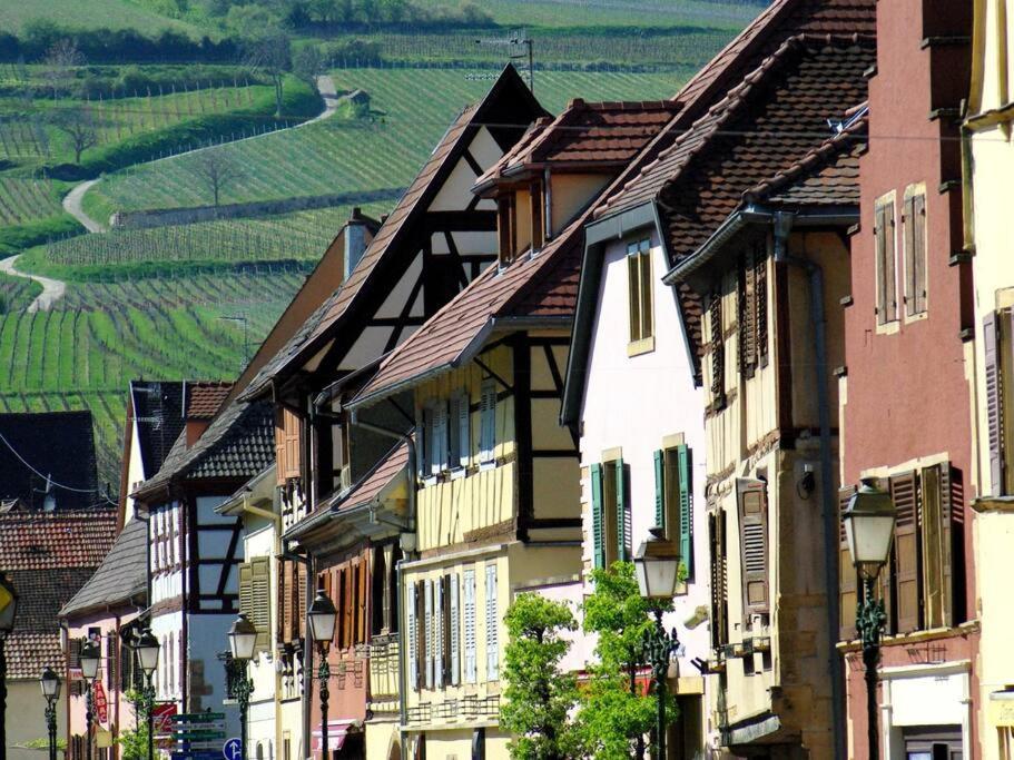 후파슈 La Sorciere In A Typical Alsatian House 아파트 외부 사진